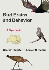Bird Brains and Behavior