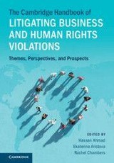 The Cambridge Handbook of Litigating Business and Human Rights Violations