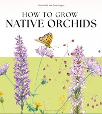How to Grow Native Orchids