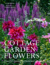 Cottage Garden Flowers